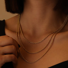 Load image into Gallery viewer, Rope Chain Necklace