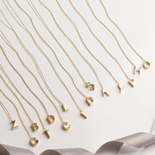 Load image into Gallery viewer, Personalized Initial 3D Letter Necklace