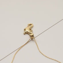 Load image into Gallery viewer, Alligator Necklace