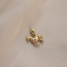 Load image into Gallery viewer, Mini Horse Pendan Necklace